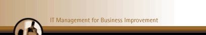 IT Management for Business Improvement